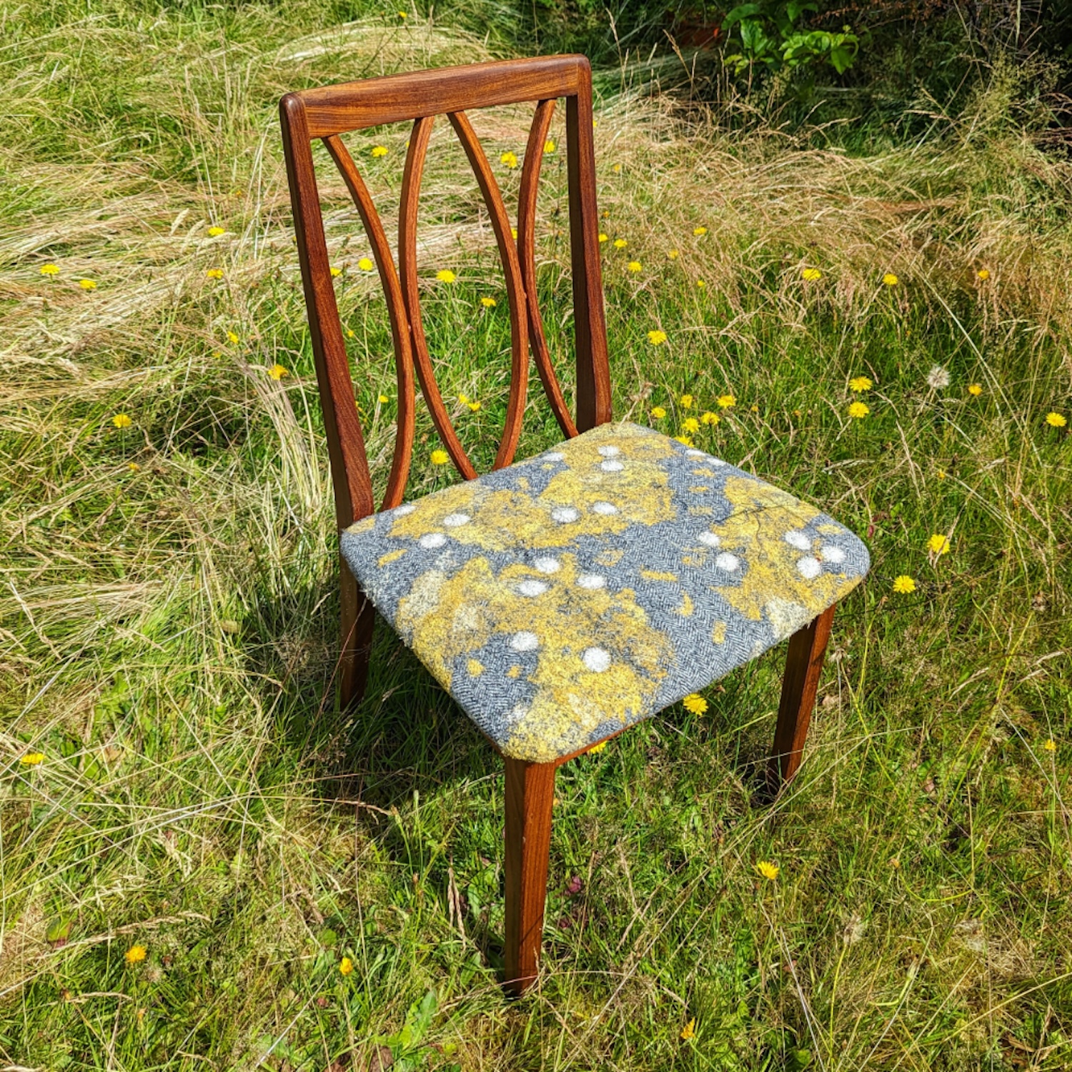 Nerissa Cargill Thompson