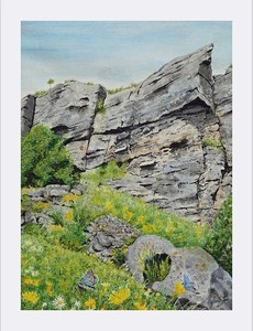 Longcliffe Award winner